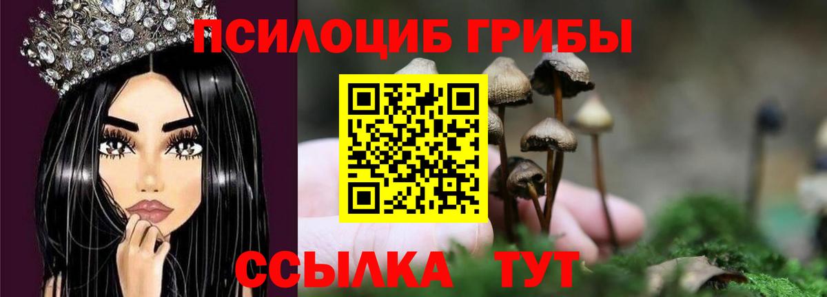 Галлюциногенные грибы MAGIC MUSHROOMS  Вход с VPN  Галлюциногенные грибы мухоморы  Арсеньев 